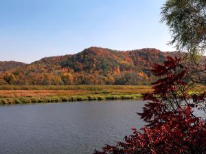 Competition entry: Blazing Hills