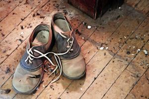 Competition entry: Saddle Shoe