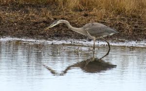 Competition entry: Fishing