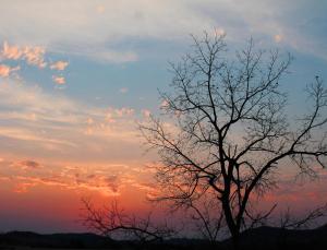 Competition entry: Before the Dawn