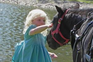 Competition entry: Mt Little Pony