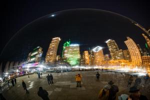 Competition entry: Self Portrait in the Bean