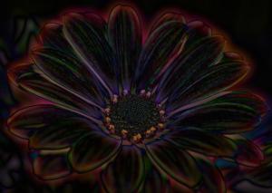 Competition entry: Kalidescope flower