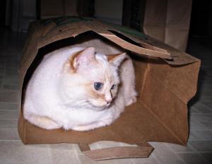 Competition entry: Snickers In The Bag