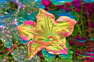 Competition entry: Pumpkin Blossom 