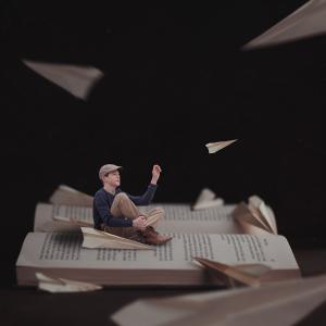 Competition entry: Paper Planes