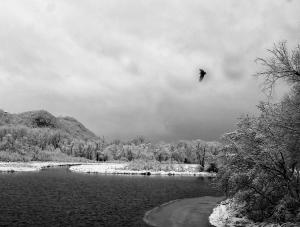 Competition entry: Soaring