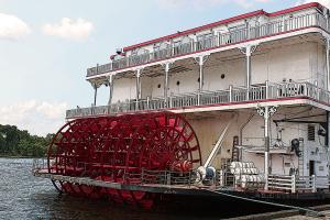 Competition entry: American Duchess