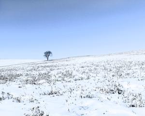 Competition entry: Mid-Winter Blues