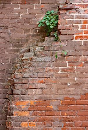 Competition entry: Alley Planter