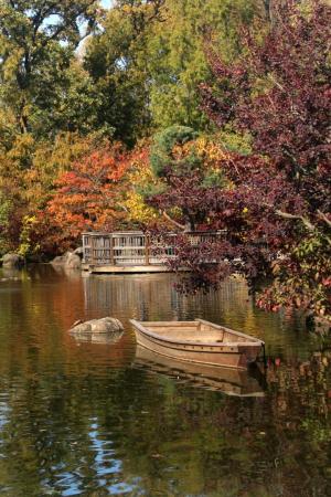 Competition entry: Wooden Boat