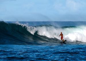 Competition entry: Surf's up Dide