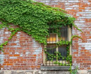 Competition entry: Glowing