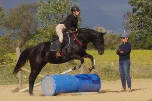 Competition entry: You can do it