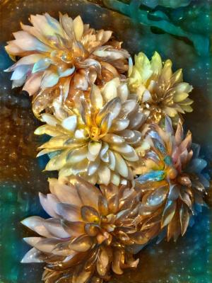 Competition entry: Northern Lights on Chrysanthemums 