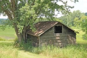 Competition entry: Old Shed