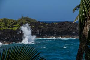 Competition entry: The Wild Pacific