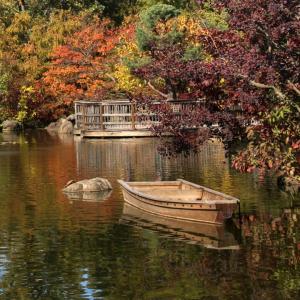 Competition entry: Wooden Boat