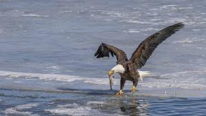 Competition entry: Lunch