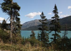 Competition entry: Alaska