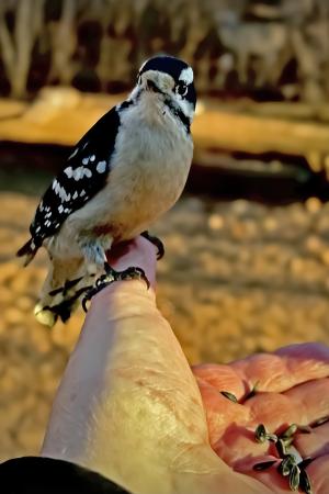 Competition entry: Thumb Drive