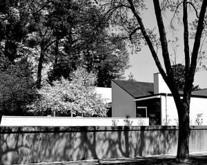 Competition entry: Mid-Century Home