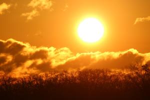 Competition entry: Good Morning