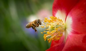 Competition entry: Going Out to Lunch