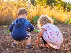 Competition entry: Cousins