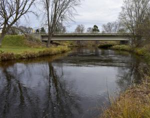 Competition entry: Autumn Reflections