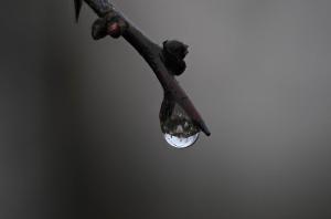 Competition entry: My Town reflected in a Water drop