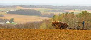 Competition entry: Field Work