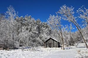 Competition entry: Winter on the Farm