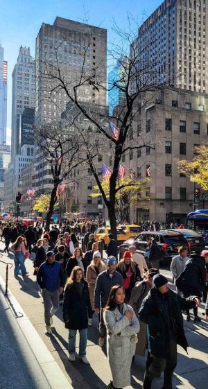 Competition entry: Beauty above the Crowd