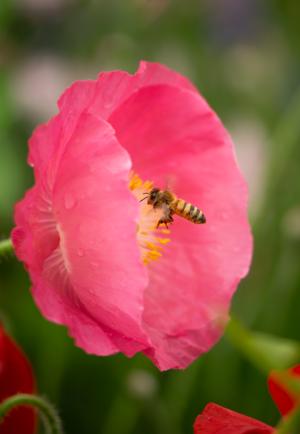 Competition entry: Lunch Time
