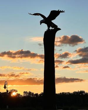 Competition entry: Big Eagle