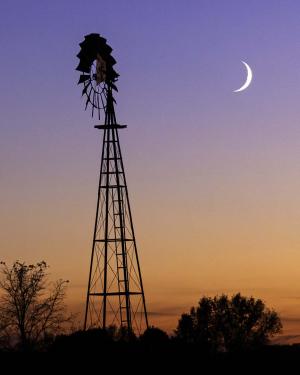 Competition entry: Evening