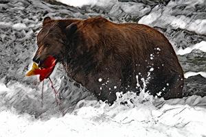 Competition entry: Catch of the day