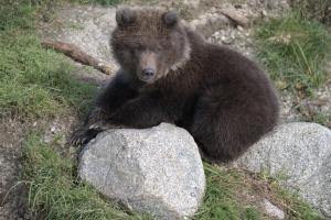 Competition entry: Just Resting