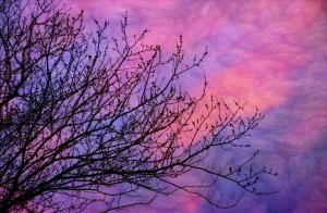 Competition entry: Cotton Candy Sky