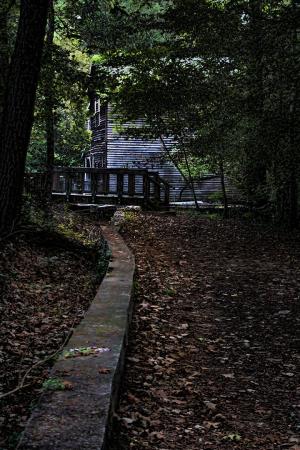 Competition entry: NIght time path 