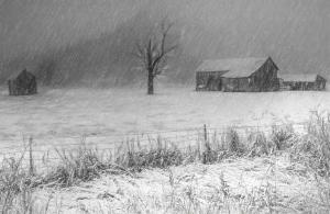 Competition entry: Blizard