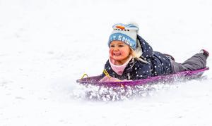 Competition entry: Snow Fun