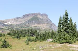 Competition entry: Glacier National Park