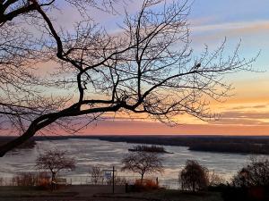 Competition entry: Mosquito Park