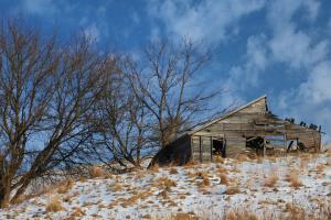 Competition entry: Yesterday's Barn