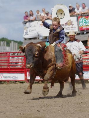 Competition entry: Ride-em Cowboy