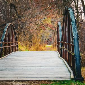 Competition entry: Bridge 4