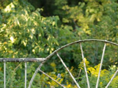 Old metal fence surrounded by greenery.