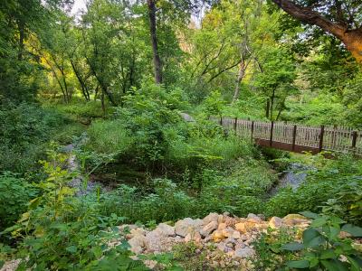 Greenery and creek running under wooden bridge.